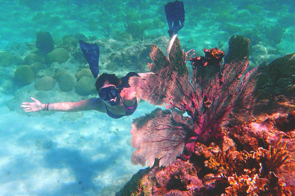 Snorkeling Curaçao — coming soon — Soluna Curaçao