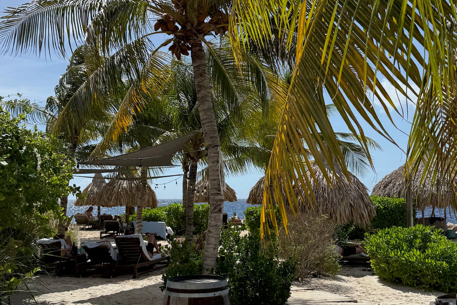 Curaçao coastline from the water